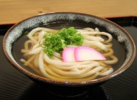 かけうどん｜徳島 手打ち 讃岐うどん 竹内製麺所