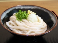 しょうゆうどん｜徳島 手打ち 讃岐うどん 竹内製麺所