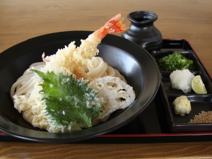 天ぷらぶっかけうどん｜徳島 手打ち 讃岐うどん 竹内製麺所