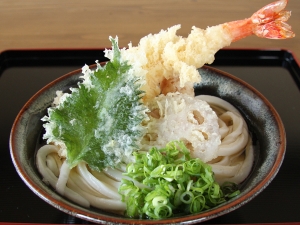 天ぷらうどん｜徳島 手打ち 讃岐うどん 竹内製麺所
