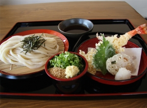 天ざるうどん｜徳島 手打ち 讃岐うどん 竹内製麺所