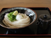 しょうゆうどん｜徳島 手打ち 讃岐うどん 竹内製麺所