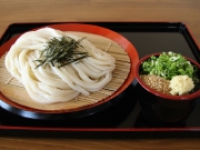 ざるうどん｜徳島 手打ち 讃岐うどん 竹内製麺所